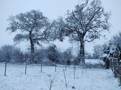 La neige en hiver