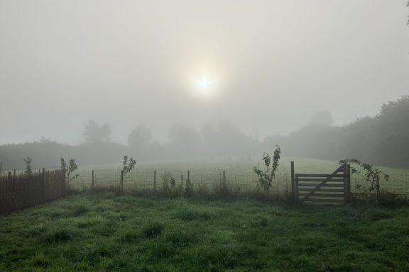 Brouillard au printemps